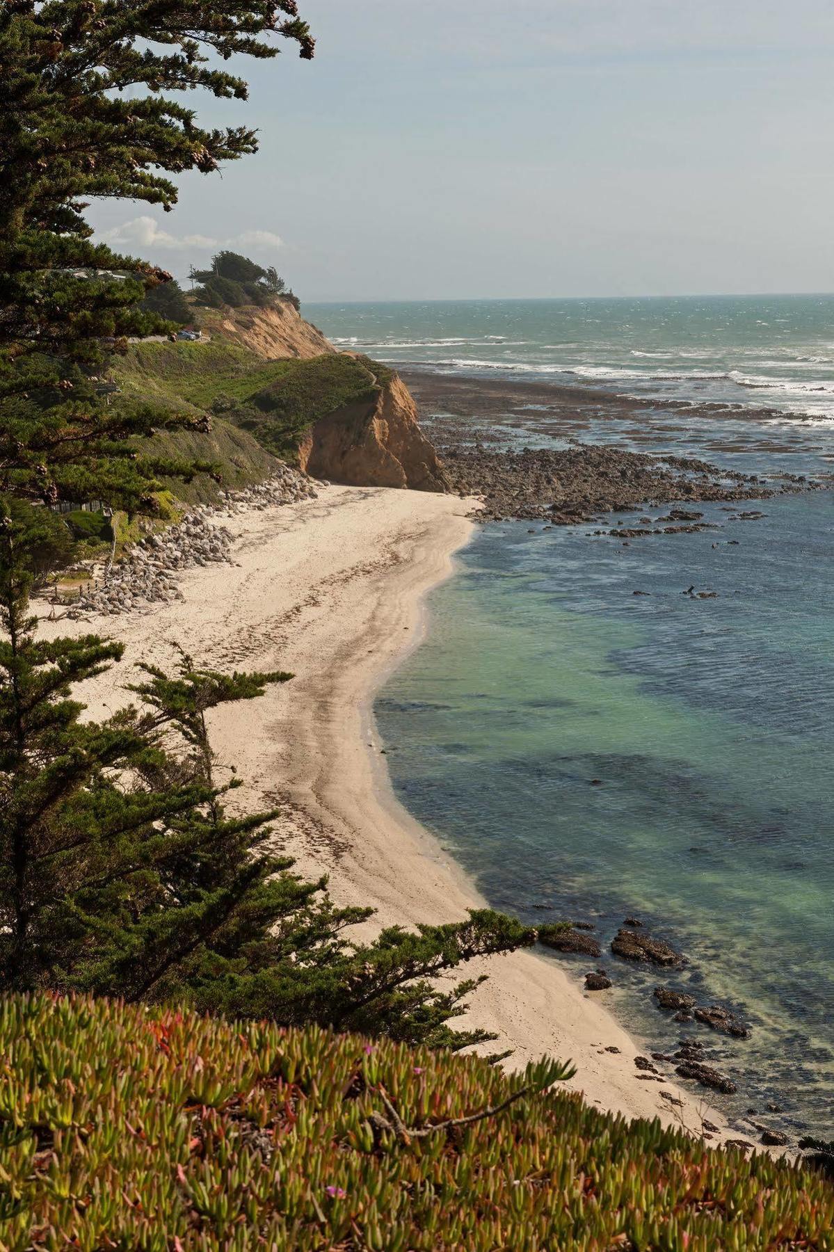 Seal Cove Inn Moss Beach Eksteriør bilde