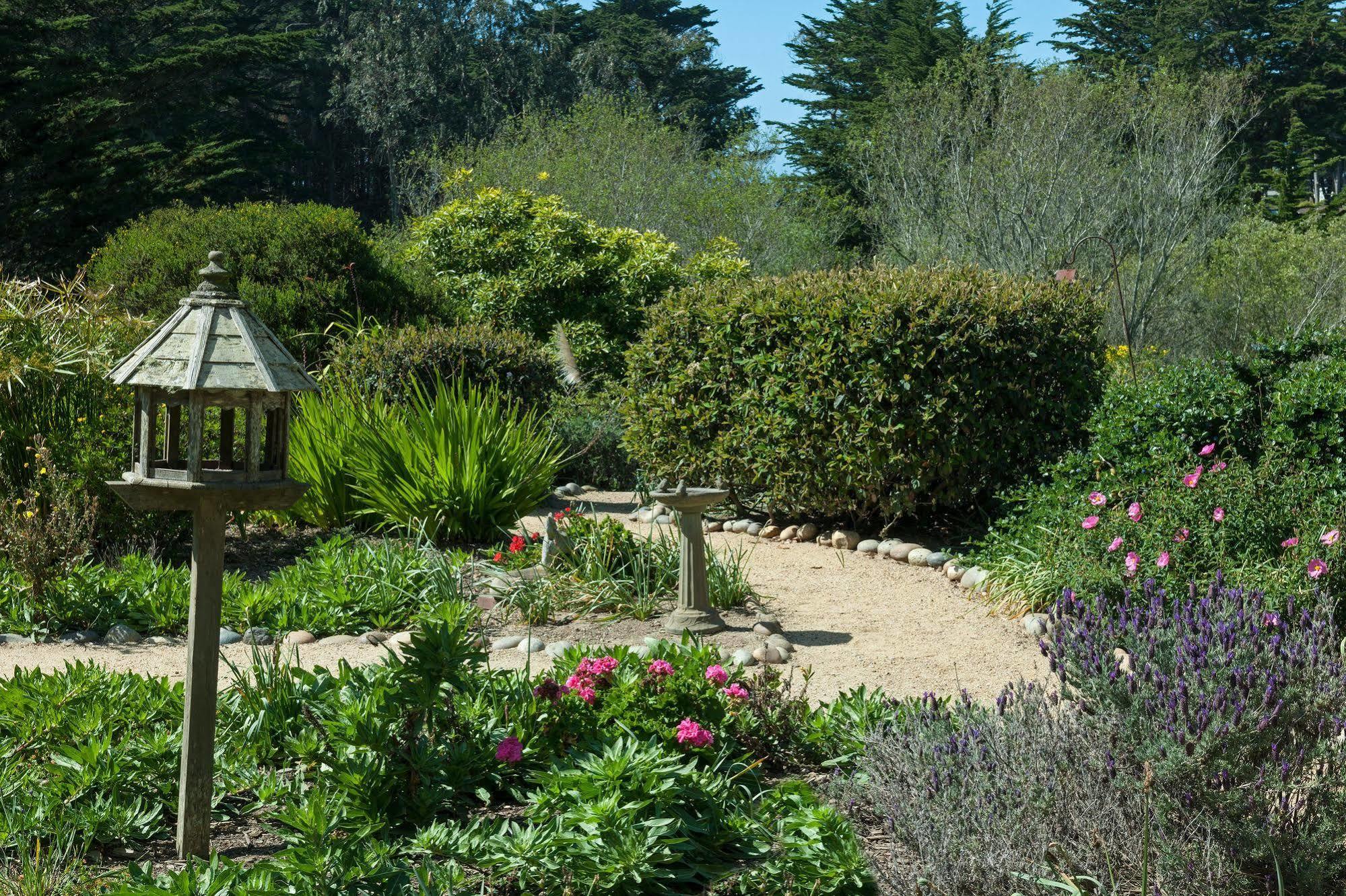 Seal Cove Inn Moss Beach Eksteriør bilde